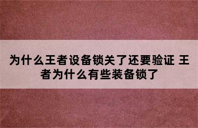 为什么王者设备锁关了还要验证 王者为什么有些装备锁了